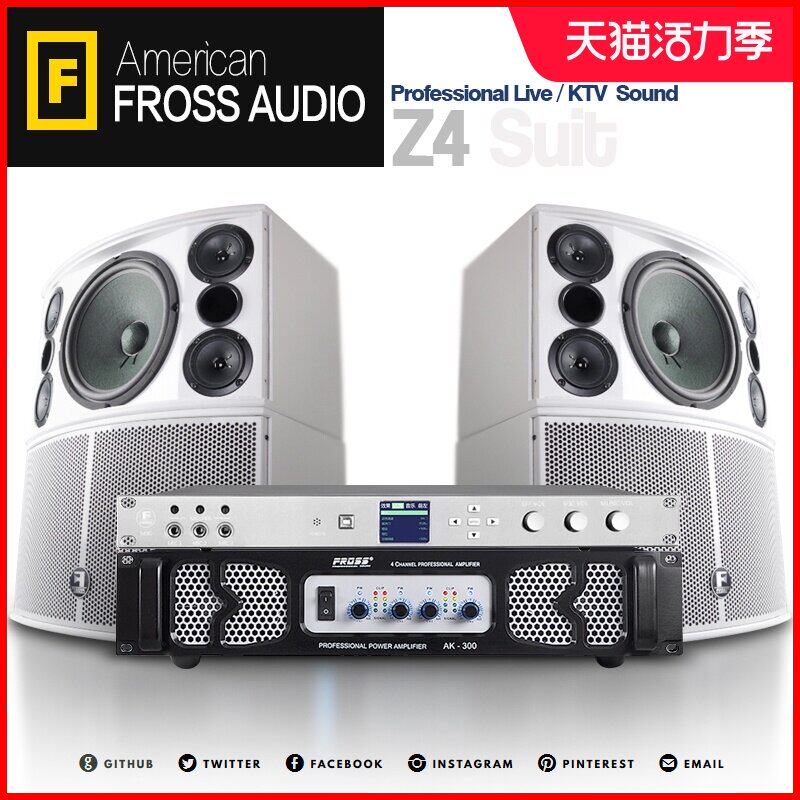 Frost Z4 one drag four professional audio set Home professional KTV audio set Stage bar