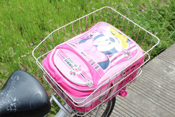 Panier pour vélo - Ref 2257248 Image 38