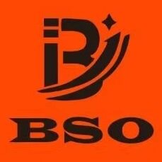 香港专柜BSO品牌