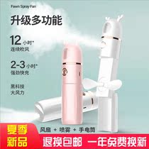 Multi-function fan hydration instrument Face nano spray beauty instrument Cold spray Small portable charging moisturizing face steamer