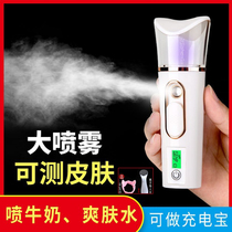 Steam face beauty instrument Nano hydration instrument Sprayer Moisturizing skin moisture test pen Face humidification multi-function