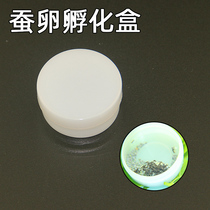 (Silkworm mushroom cool)Silkworm egg hatching box silkworm breeding tools can be carried and put in a pocket white plastic small round box