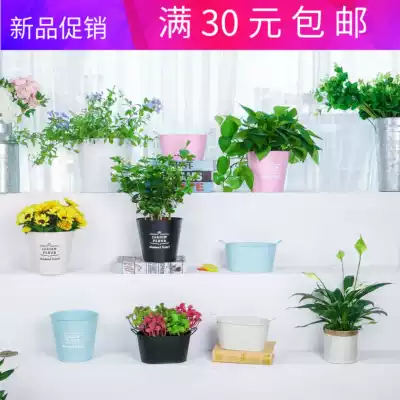 Hot-selling desktop meat special iron flowerpot retro iron made old flower Golden kudzu flower pot can store water balcony