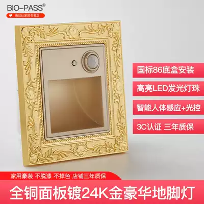 BIO-PASS new home 24k gold-plated copper retro human body sensing floor light corner light 86 bottom box
