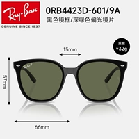 [Поляризованный] 0RB4423D-601/9A, черная оправа, темно-зеленые линзы, размер линз 66 мм