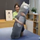 Серый маленький кот
