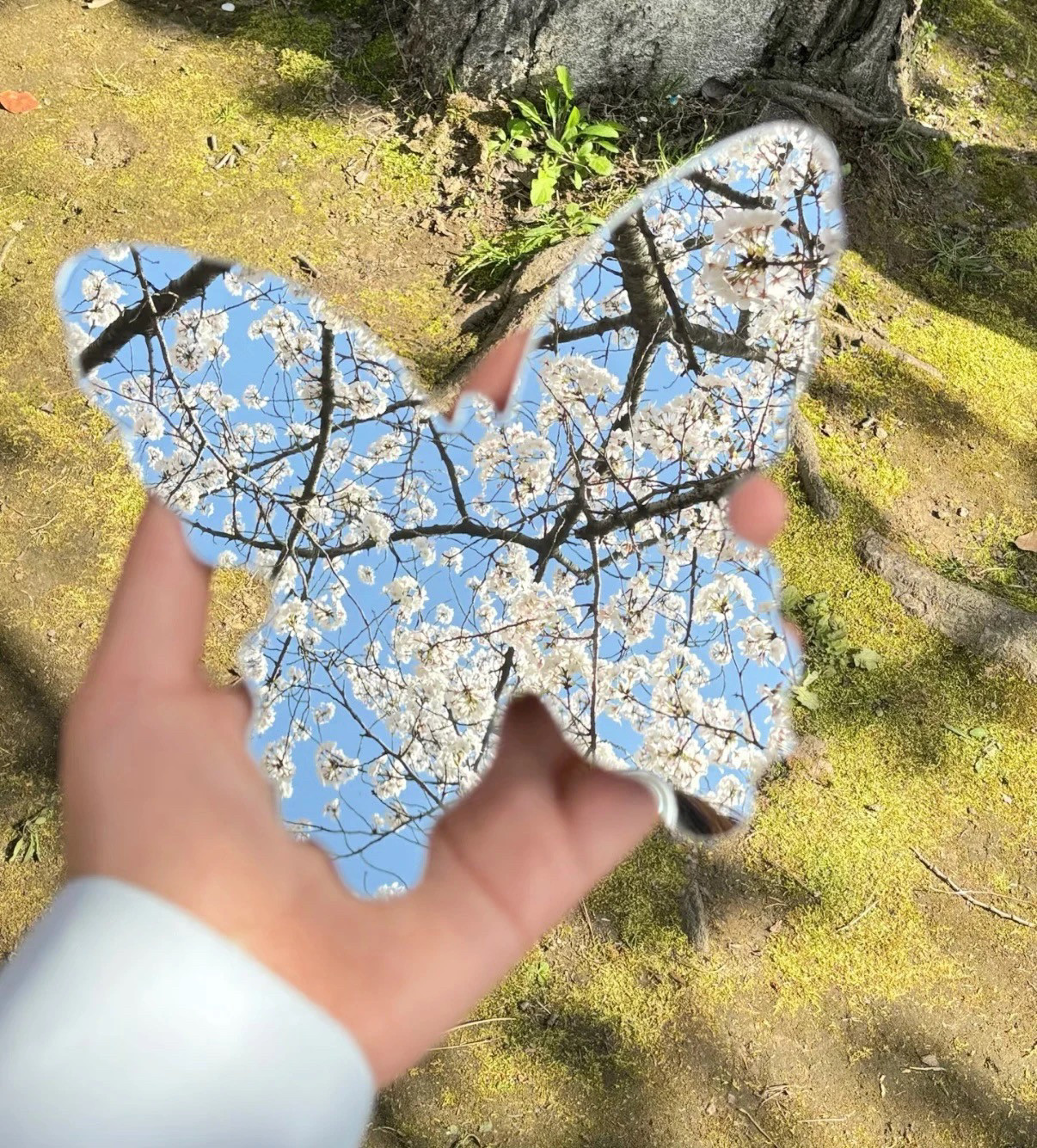 正版图书《核能未来与Z箍缩驱动聚变裂变混合堆》：探索能源新纪元的必读之作！