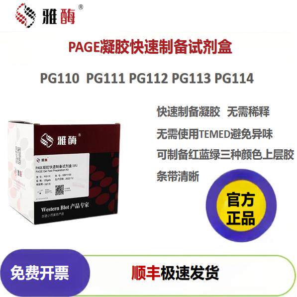 雅酶 PAGE凝胶制备试剂盒PG110/PG111/PG112/PG113/PG114