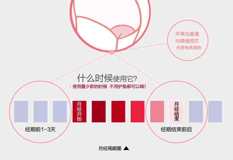 Slip jeunesse SHOWNA SN60057 en coton - Ref 642856 Image 9