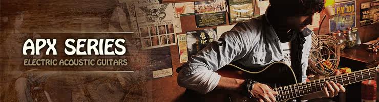 APX