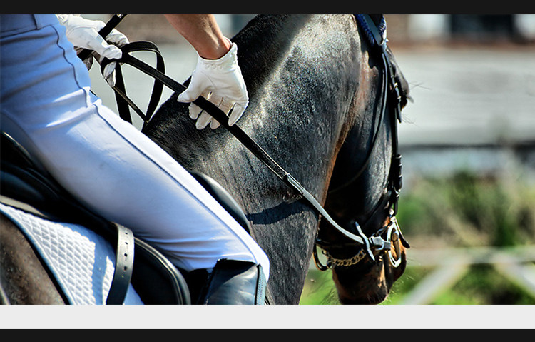 Article sports equestres - Ref 1381776 Image 10