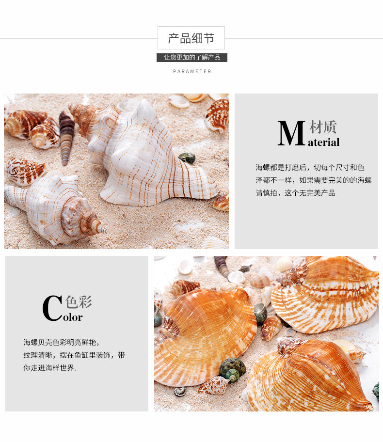 Red Rotor Snail_12.jpg