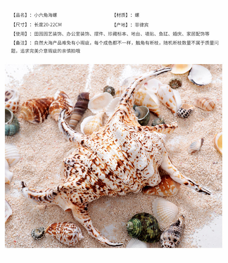 Red Spin Snail_05.jpg