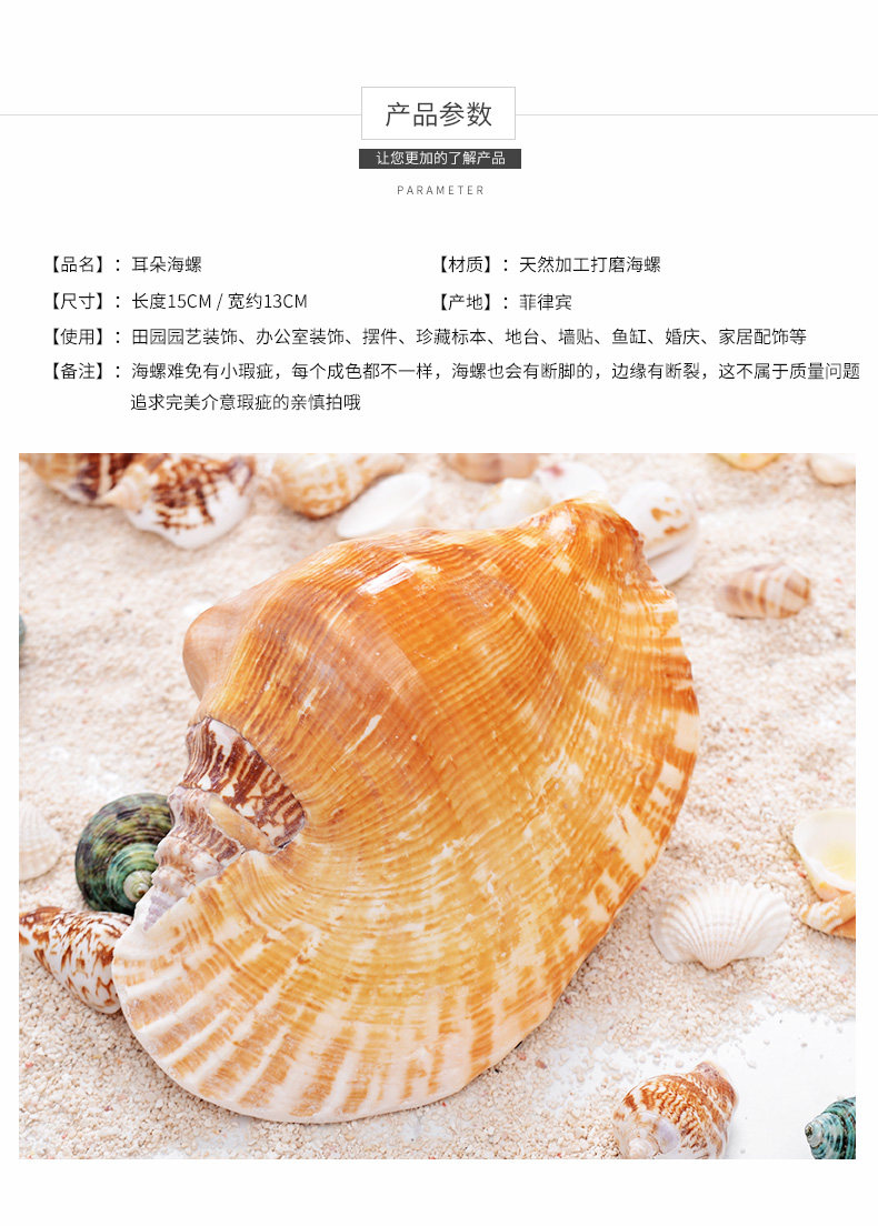 Ear Snail_03.jpg