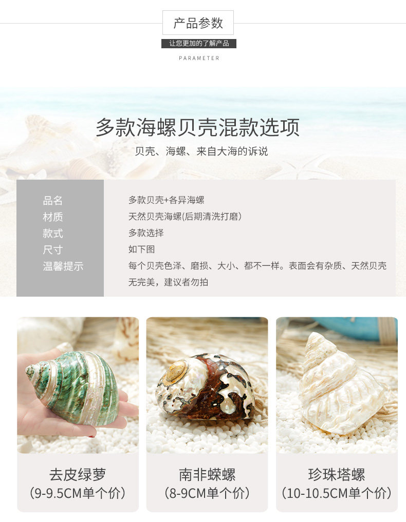 Pearl Snail_05.jpg