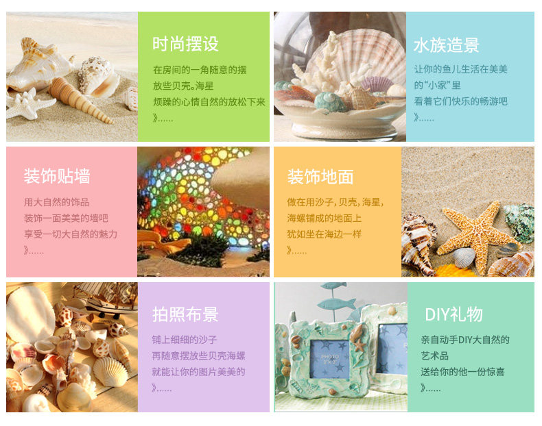 Pearl Snail_03.jpg
