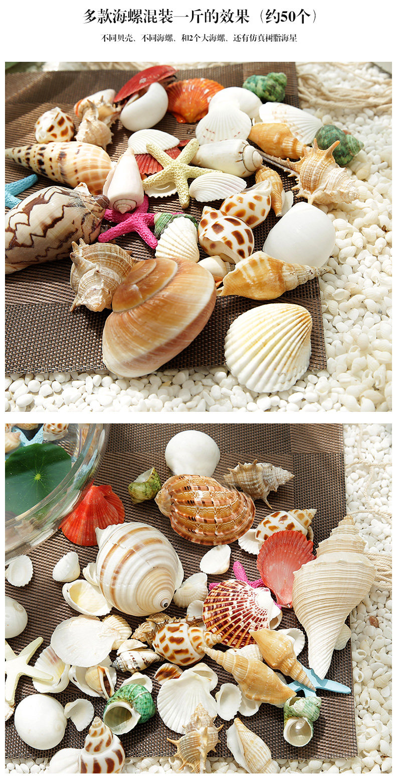 Small Shell_09.jpg