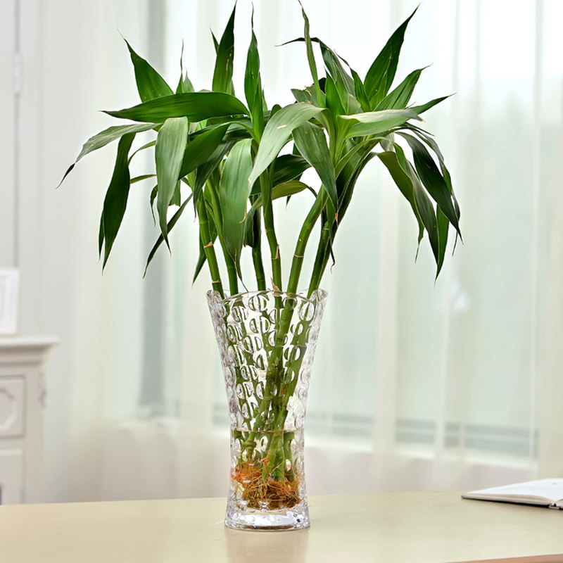 ���͸��������ƿ��ֻ��ƿ