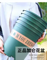 Подлинный галун цветочный горшок толстый пластиковый Производители Прямые продажи Qingcang Green Luo Counting Grass Season Monthly Creative Polynuts