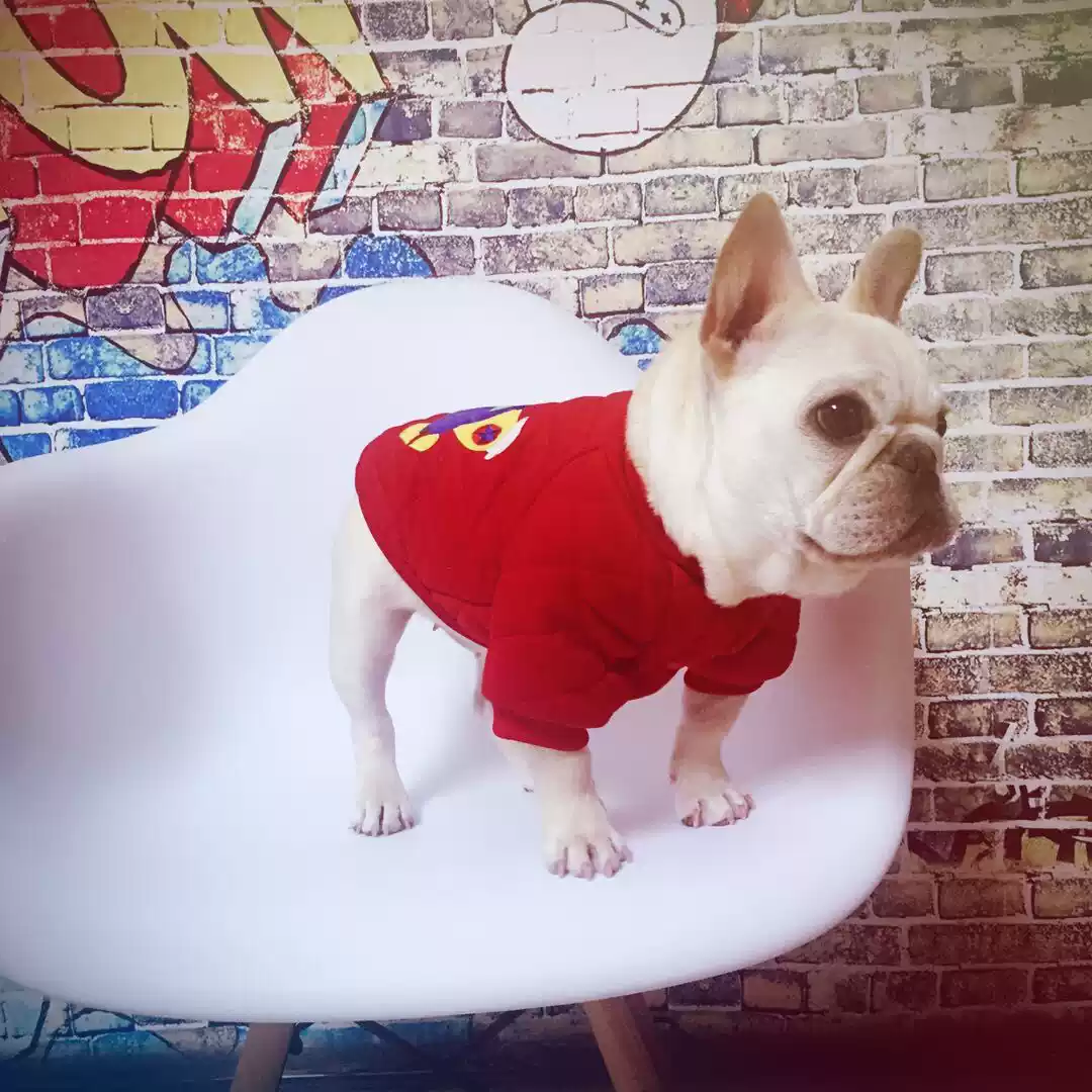 法斗斗牛犬棉服斗牛犬巴哥柯基幼犬宠物秋冬新款, image size:1080x1080