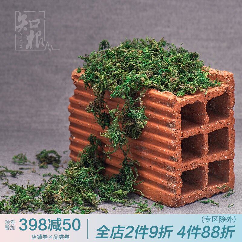 Zhigen simulation moisturizing dry moss plant background wall decoration accessories flower arrangement dry bolting moss potted plant decoration