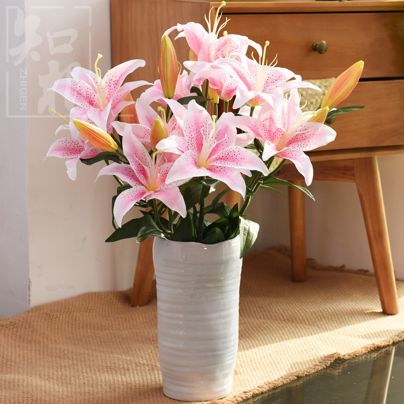 ֪����Լ�ִ�װ�λ�ƿHP-055