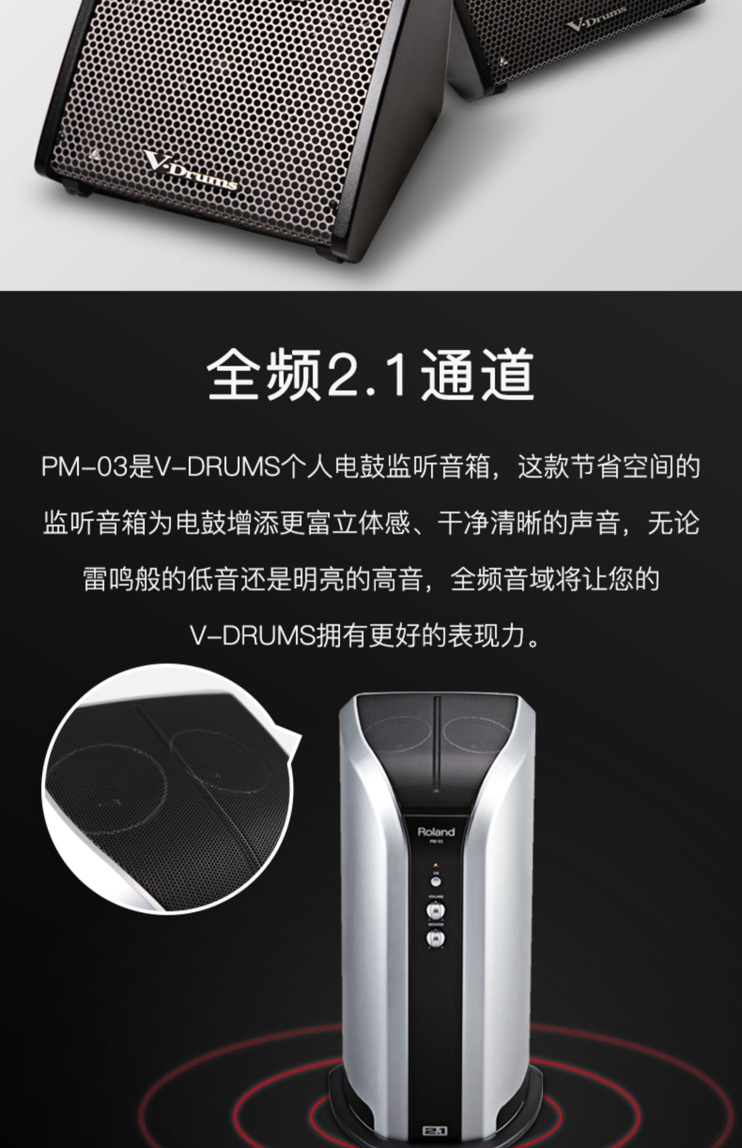 Loa trống Roland Roland Trống loa PM-03 PM100 PM-200 - Loa loa loa vi tính công suất lớn