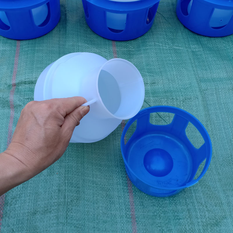 Chim bồ câu cung cấp chim bồ câu chim bồ câu uống đài phun nước chim bồ câu thức ăn chìm đua chim bồ câu hạt chim với ấm bồ câu tự động - Chim & Chăm sóc chim Supplies lồng choè lửa
