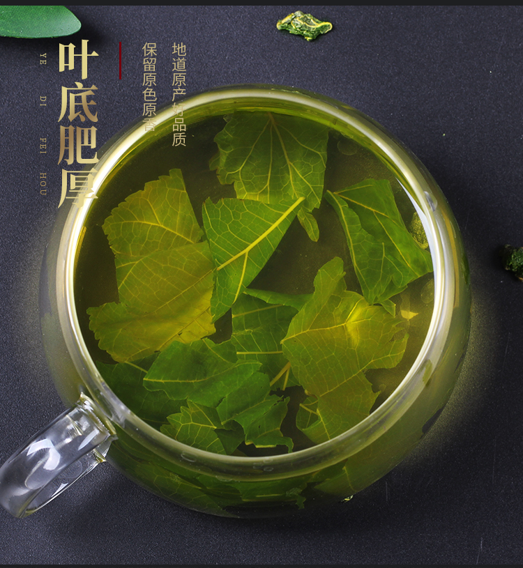 正宗霜桑叶茶500g新鲜桑叶茶