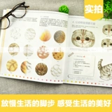 Оригинальный милый карандаш с животными, базовые учебные пособия, детская художественная раскраска, кот, антистресс, провинция Хубэй