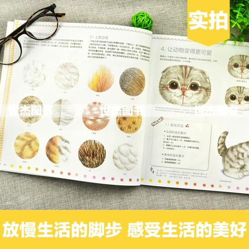 Оригинальный милый карандаш с животными, базовые учебные пособия, детская художественная раскраска, кот, антистресс, провинция Хубэй