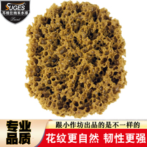 Artificial seaweed sponge high quality imitation natural seaweed sponge art paint point paint sponge M88K fantasy paint flower shooting tool