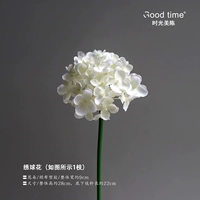 2#Hydrangea/1 ветвь