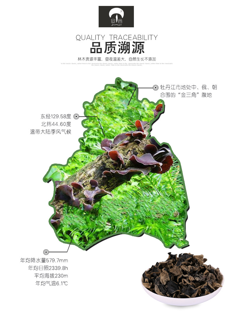 Черный гриб_02.jpg