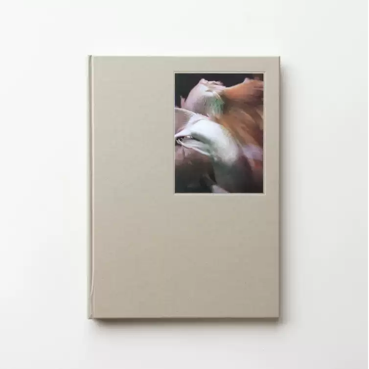 日本2001-2010 | Nippon 2001-2010 本山周平| Shuhei Motoyama