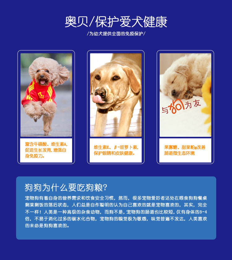 Aobei Jinmao Teddy Samoyed dog thức ăn cho chó con mục đích chung là thức ăn cho chó lông 40 kg 20kg VIP Oubei - Chó Staples hạt cho poodle