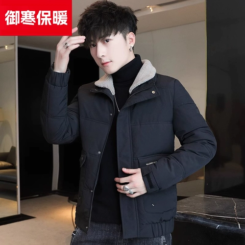 Мужской демисезонный пуховик с пухом, куртка, короткий воротник