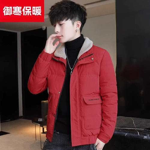 Мужской демисезонный пуховик с пухом, куртка, короткий воротник