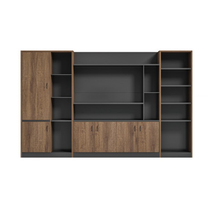 Office File Cabinet Cabinet with Lock File Archives Cabinet Wooden Glass High Cabinet Book Cabinet Furniture