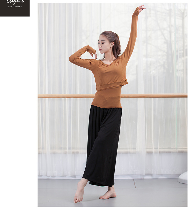 Trang phục múa hai mảnh nữ jazz hiện đại Latin Quần áo tập vũ đạo cổ điển quốc gia đề cập đến áo tập thể dục yoga - Khiêu vũ / Thể dục nhịp điệu / Thể dục dụng cụ giày múa