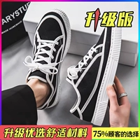 【Обновление】 Черно -белое