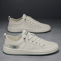 Грей (молодежь)