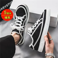 Черно -белый (высота прокладка)