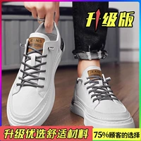 Белый (обновление)