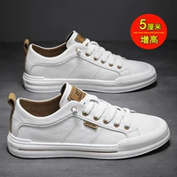 Белый 粽 (повышенная площадка)