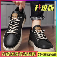 Черный (модель обновления)