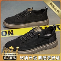 Черный абрикос (флагман)