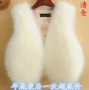 Áo vest nữ Slim lông ngắn giả lông cáo vest vest 2018 thu đông mới áo hoodie nữ cute