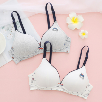 Bailly cotton thin girl Development underwear junior high school students without steel ring gathering small chest bra