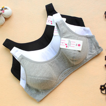 Pure cotton thin non-steel girdle girl underwear development Junior High School students vest sports running text bra